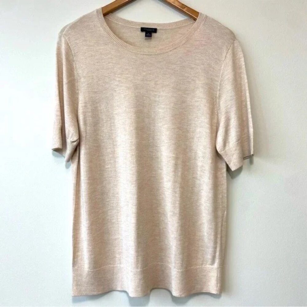 Ann Taylor Factory Cream Heather Short Sleeve Knit Top